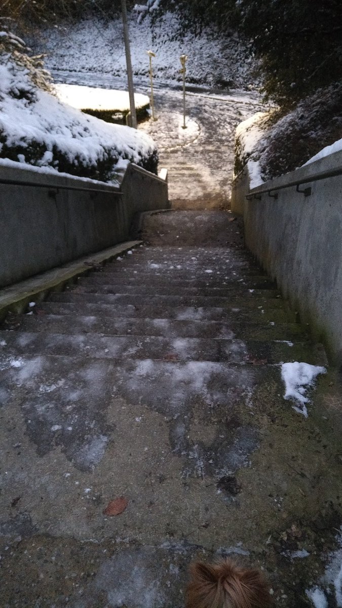 newy_marina's tweet photo. Même situation au niveau de la passerelle accès Napoleon depuis quartier Hastings et escaliers de la poste Detolle
#SOSRue https://t.co/1v84yJNnJe