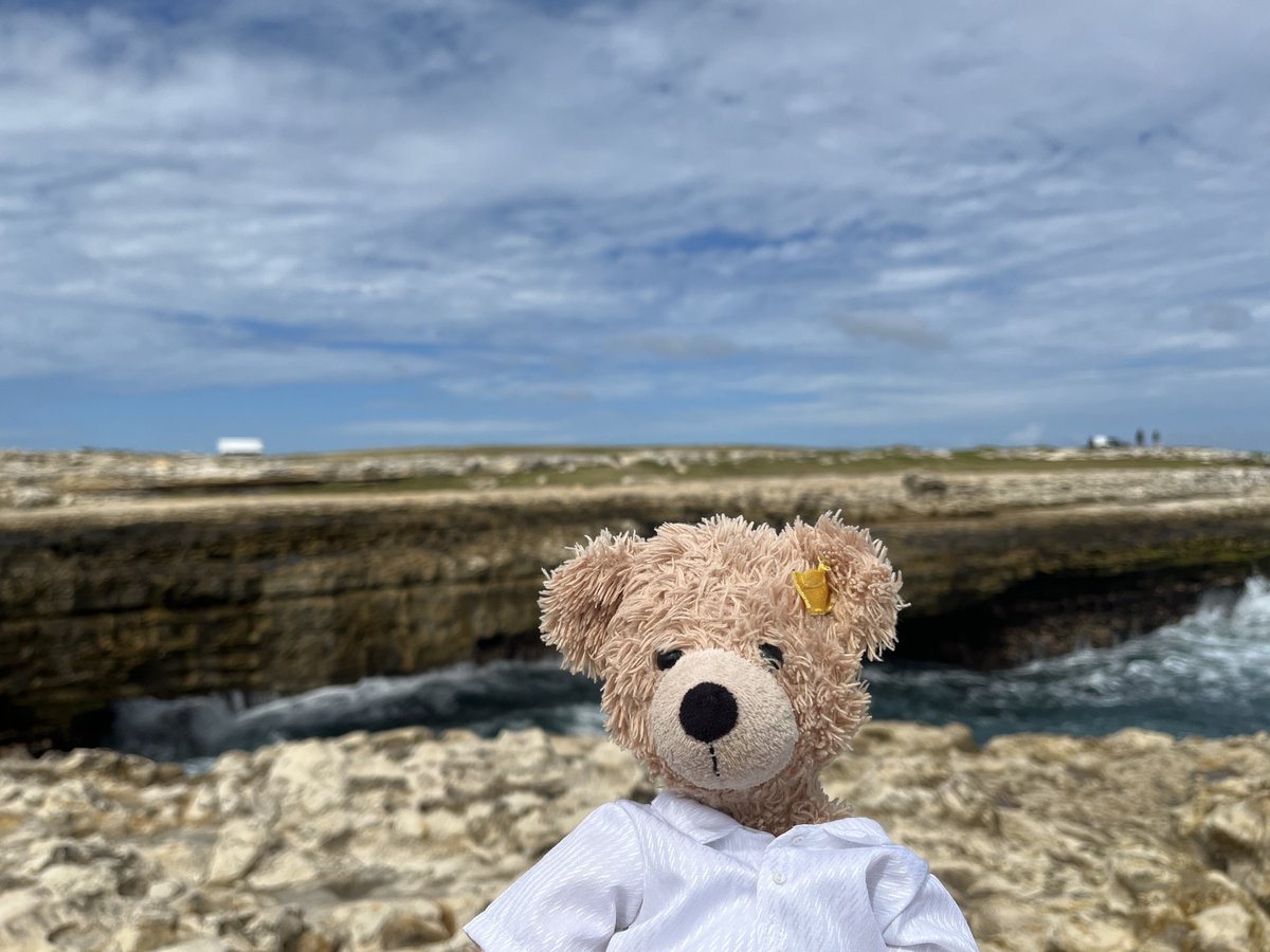 FlynnTheBear's tweet image. The Devils Bridge and me! #Flynn #FlynnTheBear #DevilsBridge #Antigua
