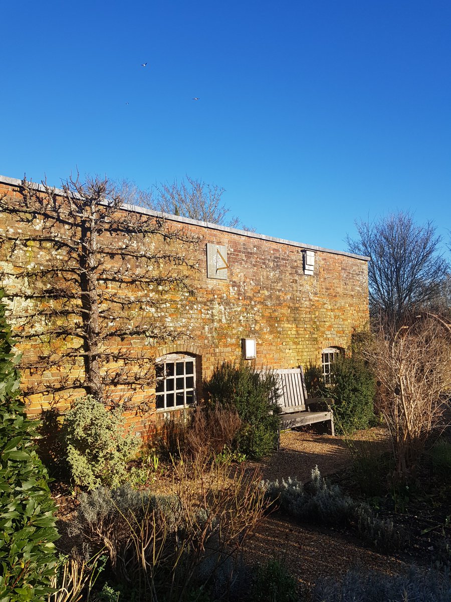 It's been a fabulously crisp and frosty in #KingJohnsGarden today with bright blue skies. The perfect mid-winter's day. For more beautiful #TestValleyGardens @MoreTestValley