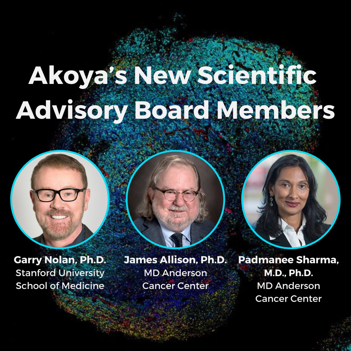 Akoya Biosciences (@akoyabio) on Twitter photo 🎉 We are thrilled to announce the establishment of our #ScientificAdvisoryBoard to provide strategic direction & expertise in translational, clinical, & diagnostic applications of Akoya’s #spatialbiology solutions.
Welcome <a href="/GarryPNolan/">Garry P. Nolan</a> @JimAllisonPhD @PamSharmaMDPhD! 🎉 We are thrilled to announce the establishment of our #ScientificAdvisoryBoard to provide strategic direction & expertise in translational, clinical, & diagnostic applications of Akoya’s #spatialbiology solutions.
Welcome <a href="/GarryPNolan/">Garry P. Nolan</a> @JimAllisonPhD @PamSharmaMDPhD!