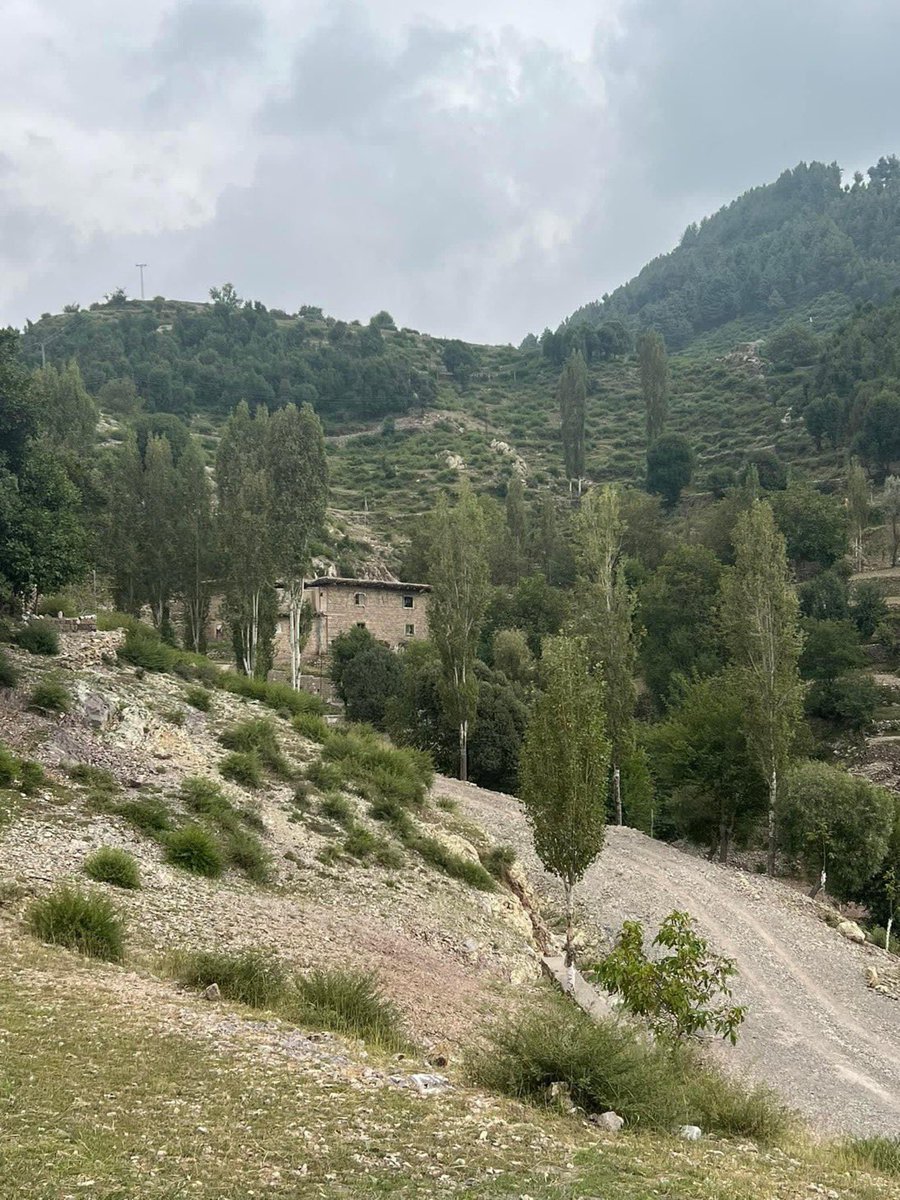 تمہارے گاؤں کی مٹِّی لگی ہے پیروں کو 

ہمارے گاؤں کے رستے خُوشی سے پاگل ہیں