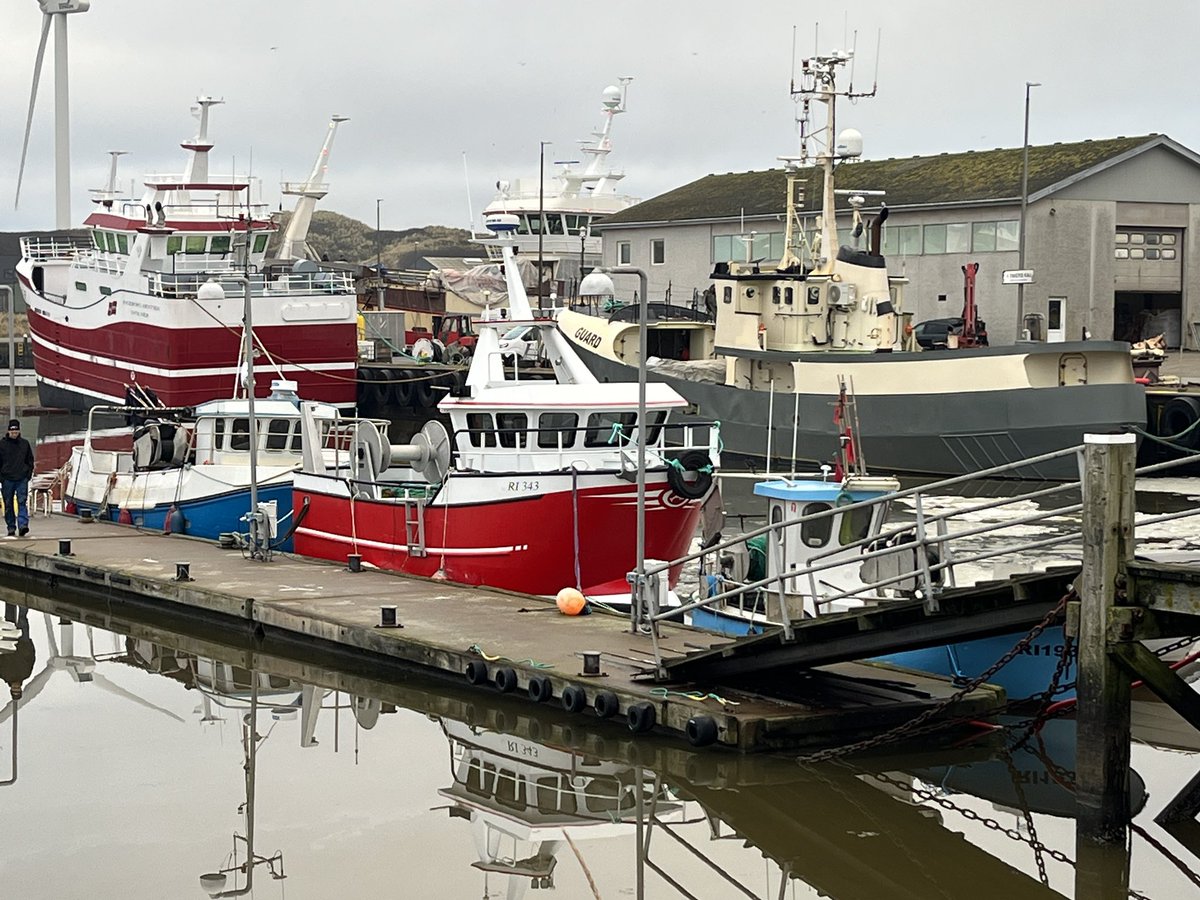 Een beeldplaat volgevat met visserijvaartuigen te Hvide Sande.
