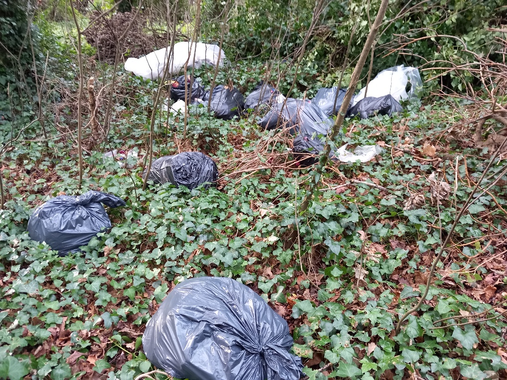 LCC_Environment's tweet photo. Significant illegal dumping which occurred over the Christmas period at Townley Hall woods car park beside the River Boyne. Over 20 dumped black bags of domestic waste have been removed by Louth County Council. https://t.co/uY2wxQXv8T