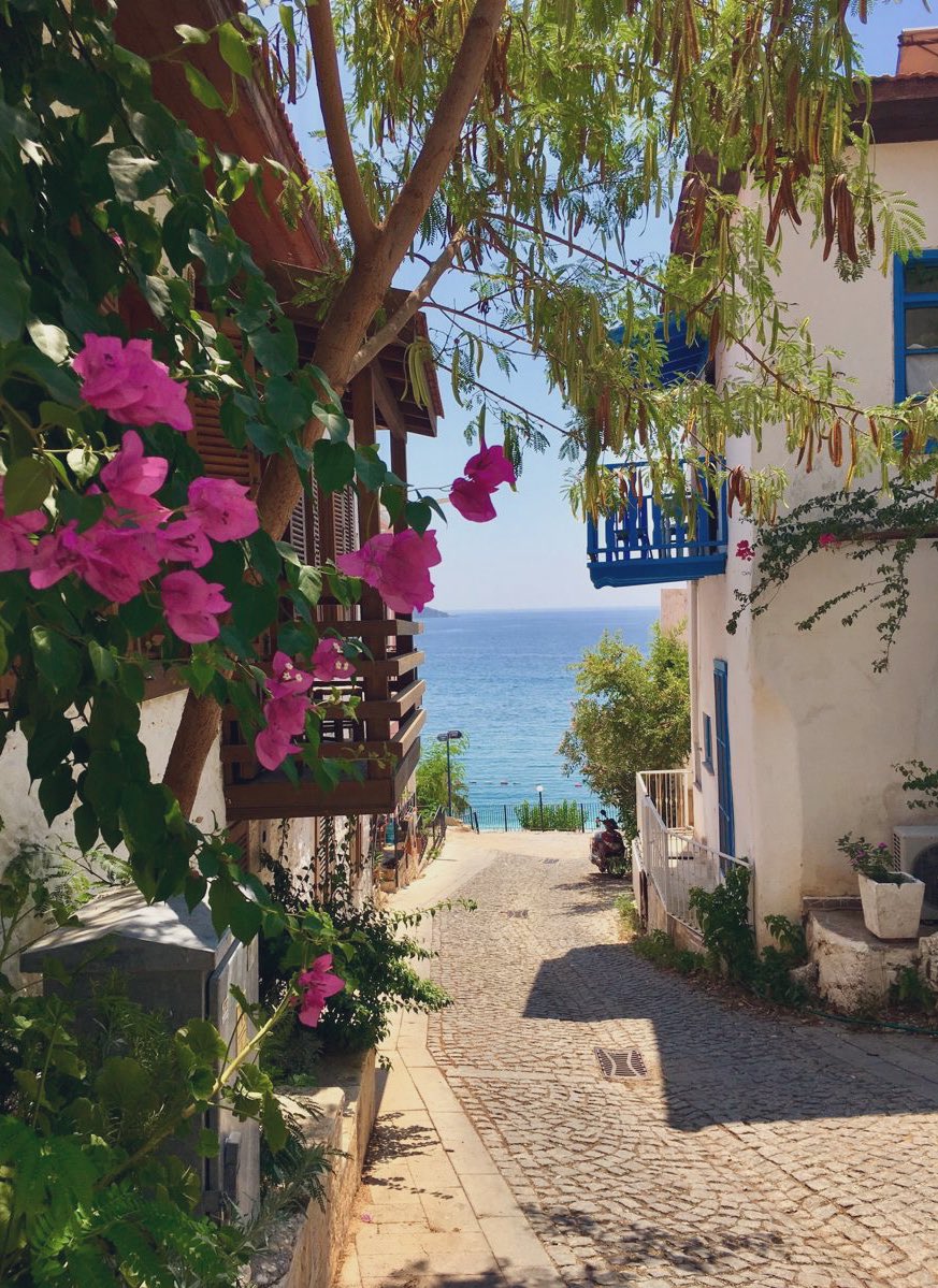 Mediterranean Aesthetics (@mediterraneanae) on Twitter photo 