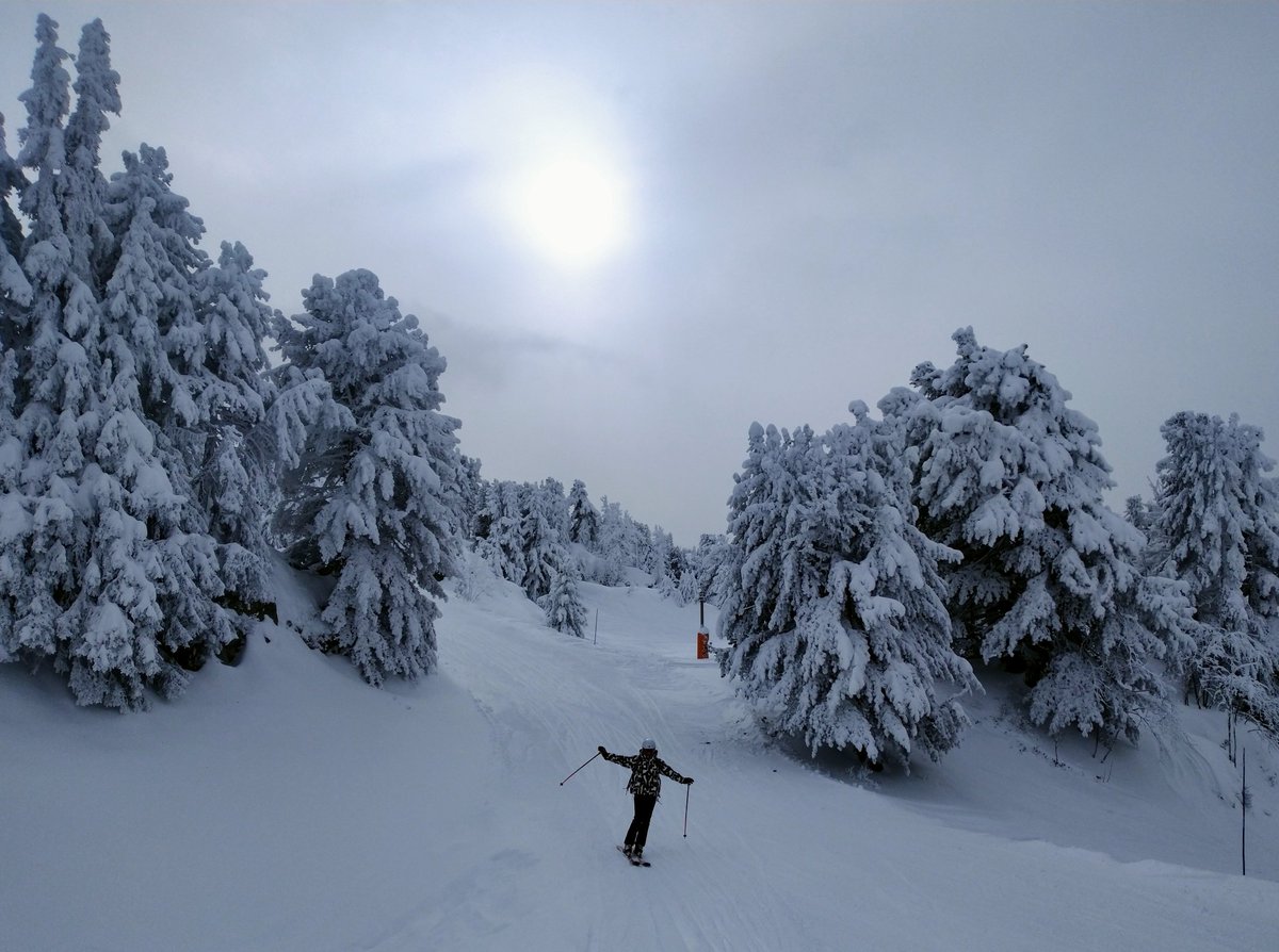 ChaletLaunael's tweet photo. La liaison Casserousse, le ski plaisir dans les sapins 🌲 ! #Chamrousse #ski #snowboarding #Alpes #Isère #Dauphiné https://t.co/HSZgE0NXnL
