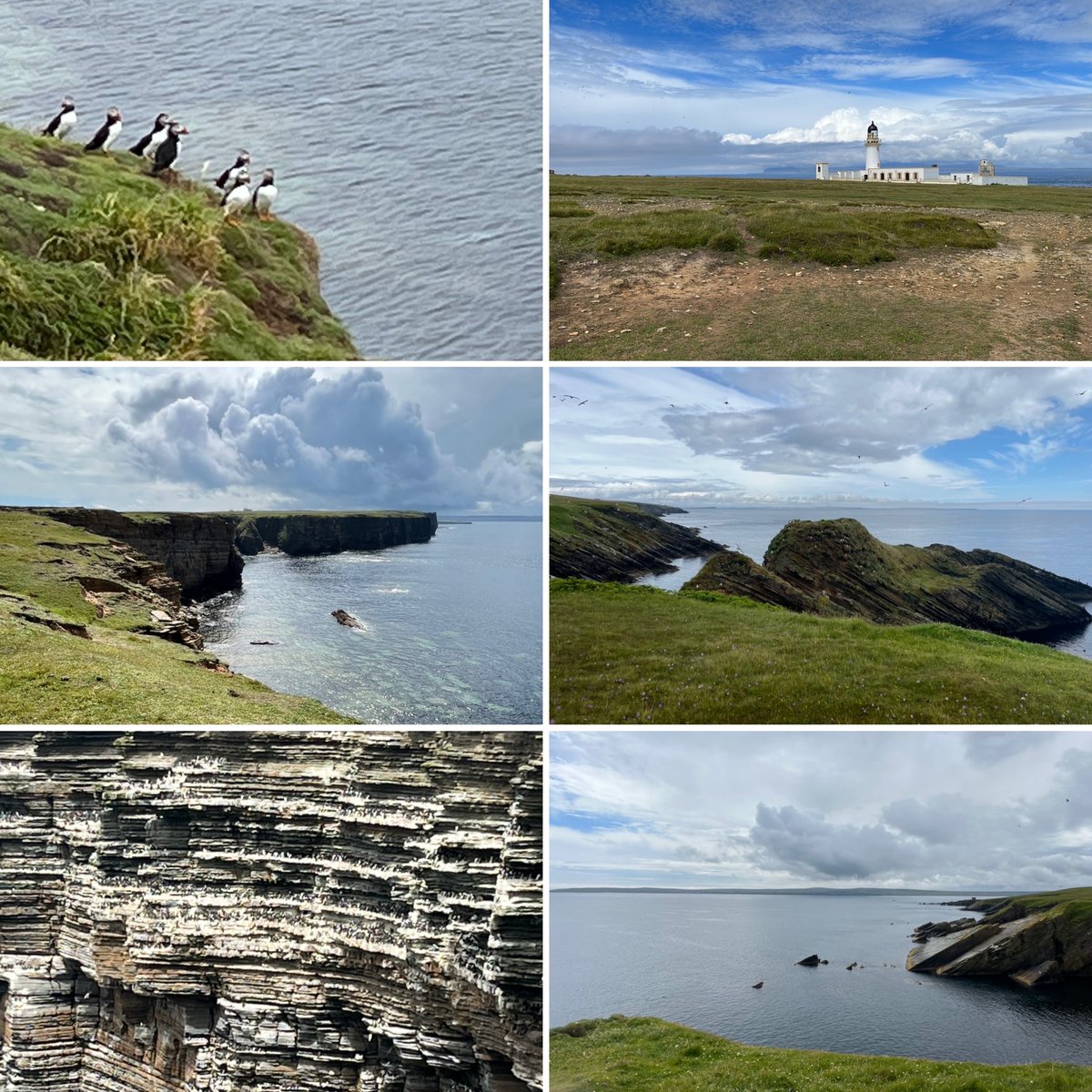 Are you tired and burnt out by the NHS?

Looking for a FY3 + job?

DO YOU WANT TO ACTUALLY SEE PUFFINS?

Come to the hospital that covers John O'Groats.  We need clinical fellows. 

Puffins can be seen from April to August. 
DM me for an informal chat 
apply.jobs.scot.nhs.uk/Job/JobDetail?…