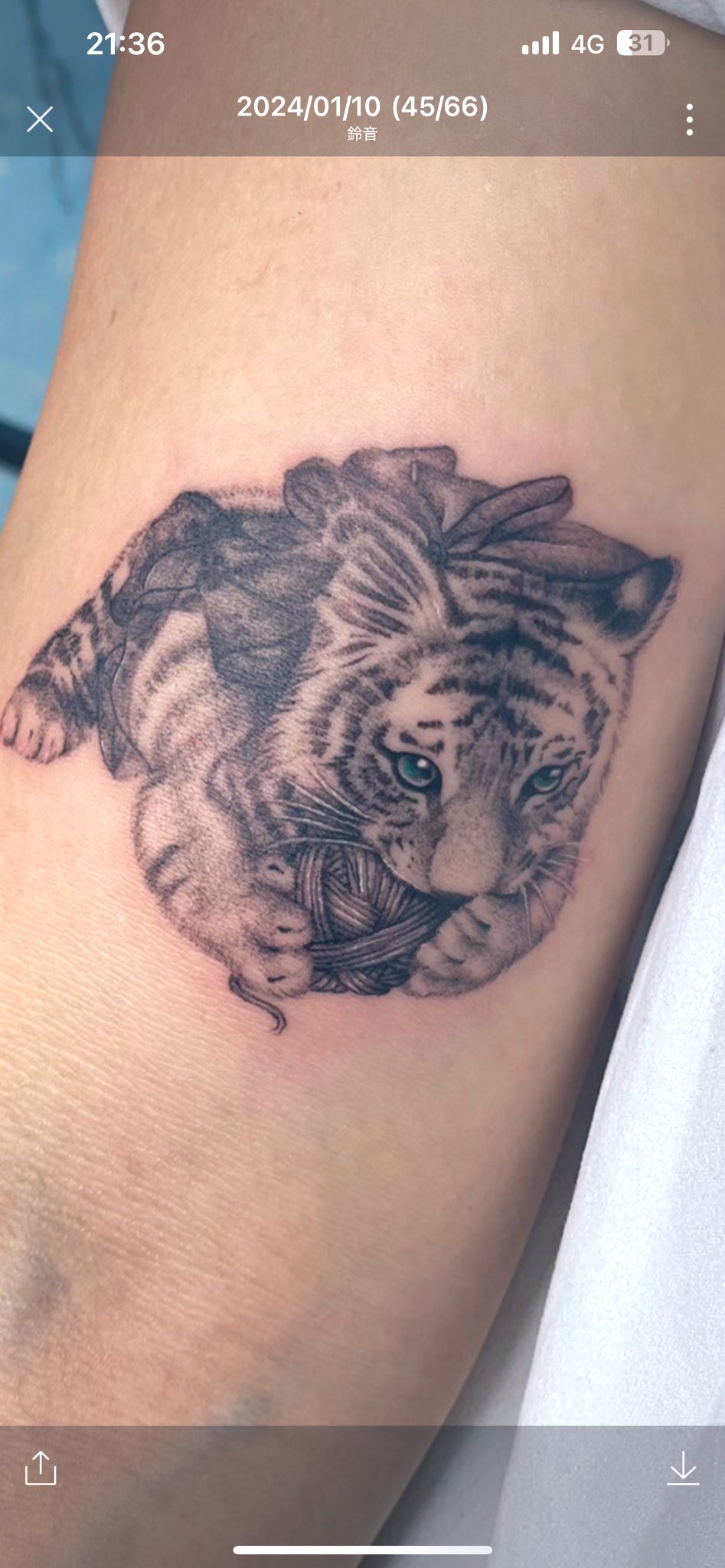 ZERO Tattoo Studio Yokosuka 横須賀 タトゥー 刺青 - Hello