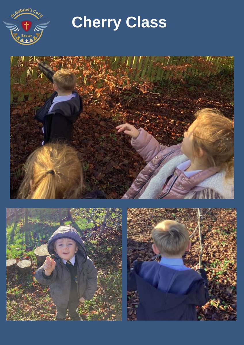 In Cherry class we have been learning about how are senses can tell us about the world. We enjoyed going on a nature walk to see what we could see, hear, touch and smell!