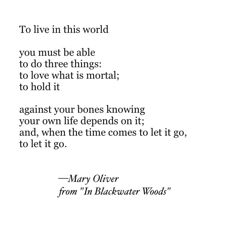To live in this world you must be able to do three things: to love what is mortal; to hold it against your bones knowing your own life depends on it; and, when the time comes to let it go, to let it go. —Mary Oliver from "In Blackwater Woods"