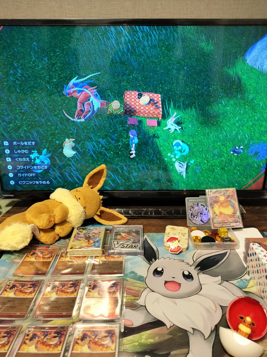 mizu32ar's tweet photo. 最推しなのに知らなかった‥😭😭

金銀の電磁砲ブースター🔥⚡に惚れて、コンテスト、バトル山などゲームで連れ回してきました🏃

昨年は色んな推し活も出来ました✨✨
ポケモンで一番好き！
愛してるぜ相棒！🔥🔥🔥

#ブースターの日 https://t.co/w3itiLqsS6