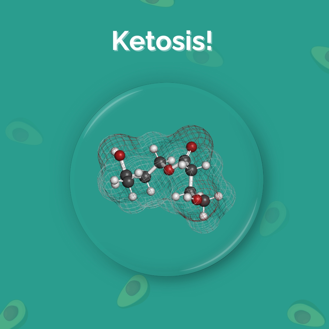 CertifiedKetoDiet tweet media