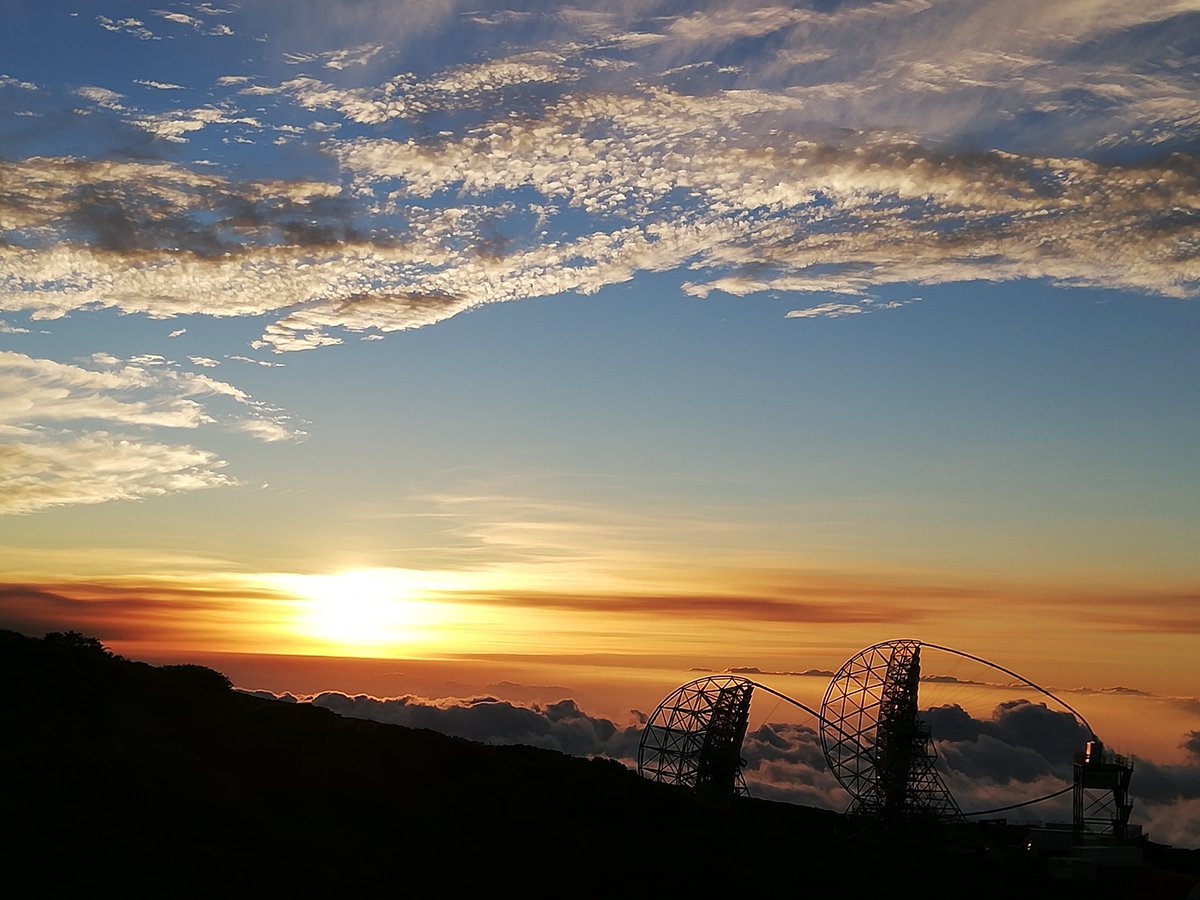 LaPalmaFilm's tweet photo. | LOCALIZACIONES ÚNICAS |

📷 Entre valles y montañas, entre rocas y frondosidad, entre cielo y mar.

#LaPalma narra historias en sus formas, y este 2024 tendrá mucho que contar 📷

La Palma es #elescenarioqueestásbuscando https://t.co/9NMBKMek4C