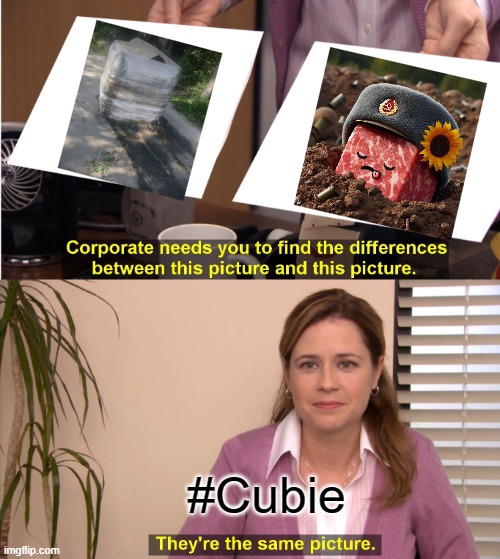 #Cubie tweet media