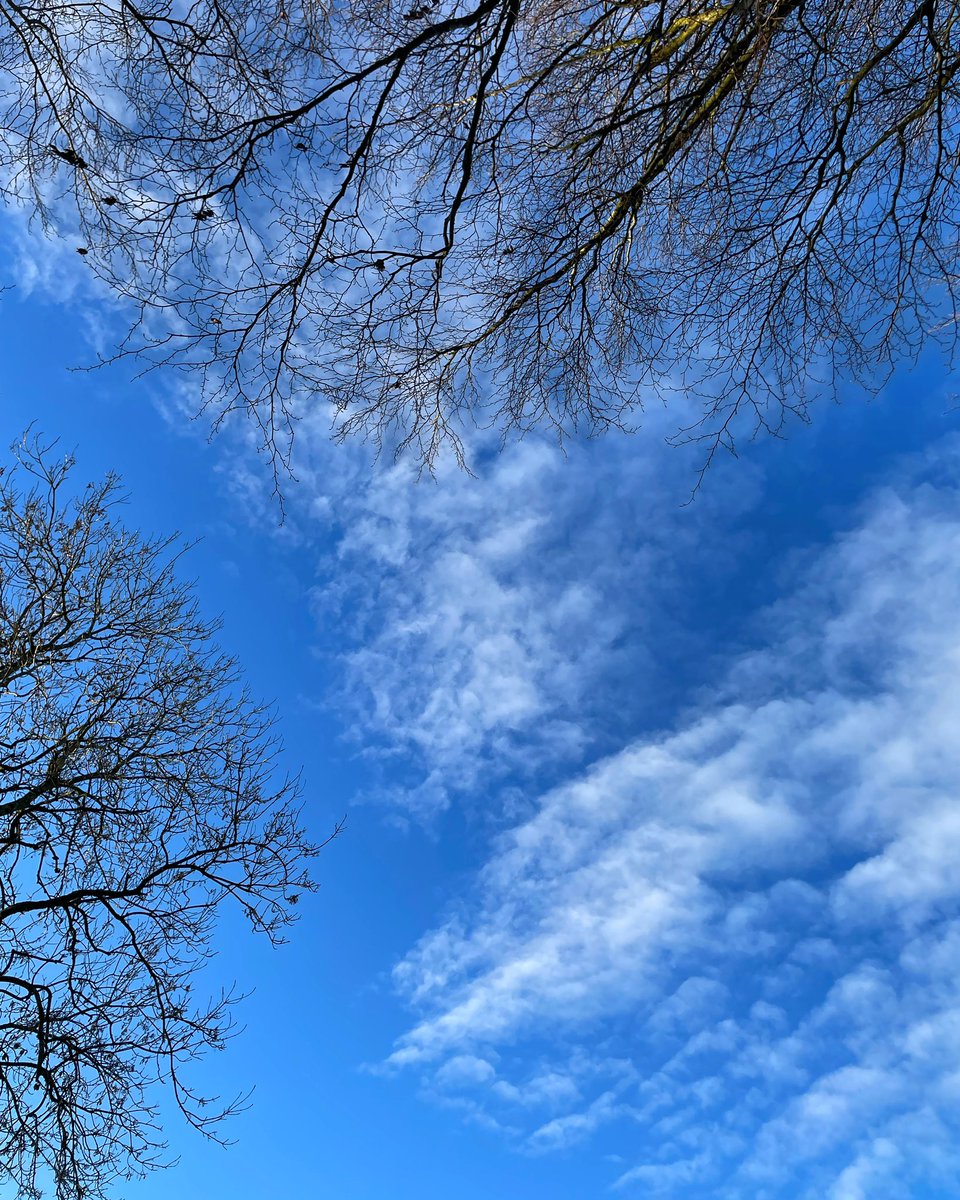 Stifyn1's tweet photo. Ch ch change #gobaith #chchchchchanges #sky #garden #naturephotography #january #winter #wednesday https://t.co/hYPPQLKEFh