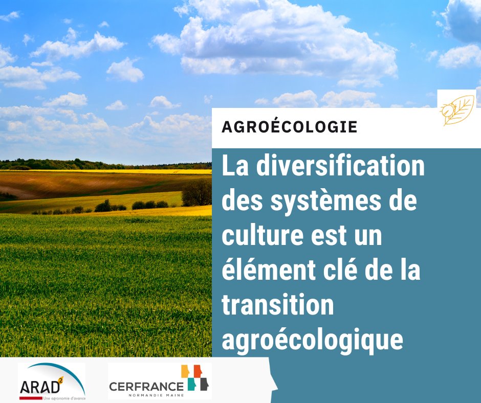 [Agroécologie] La diversification des systèmes de cultures comme élément clé de la transition agroécologique 🌱

➡️Pour en savoir plus : normandiemaine.cerfrance.fr/arad2/diversif…

@Cerfrance_sn <a href="/Cerfrance_5372/">Cerfrance Mayenne-Sarthe</a> <a href="/CerfranceOrne/">Cerfrance Orne</a>