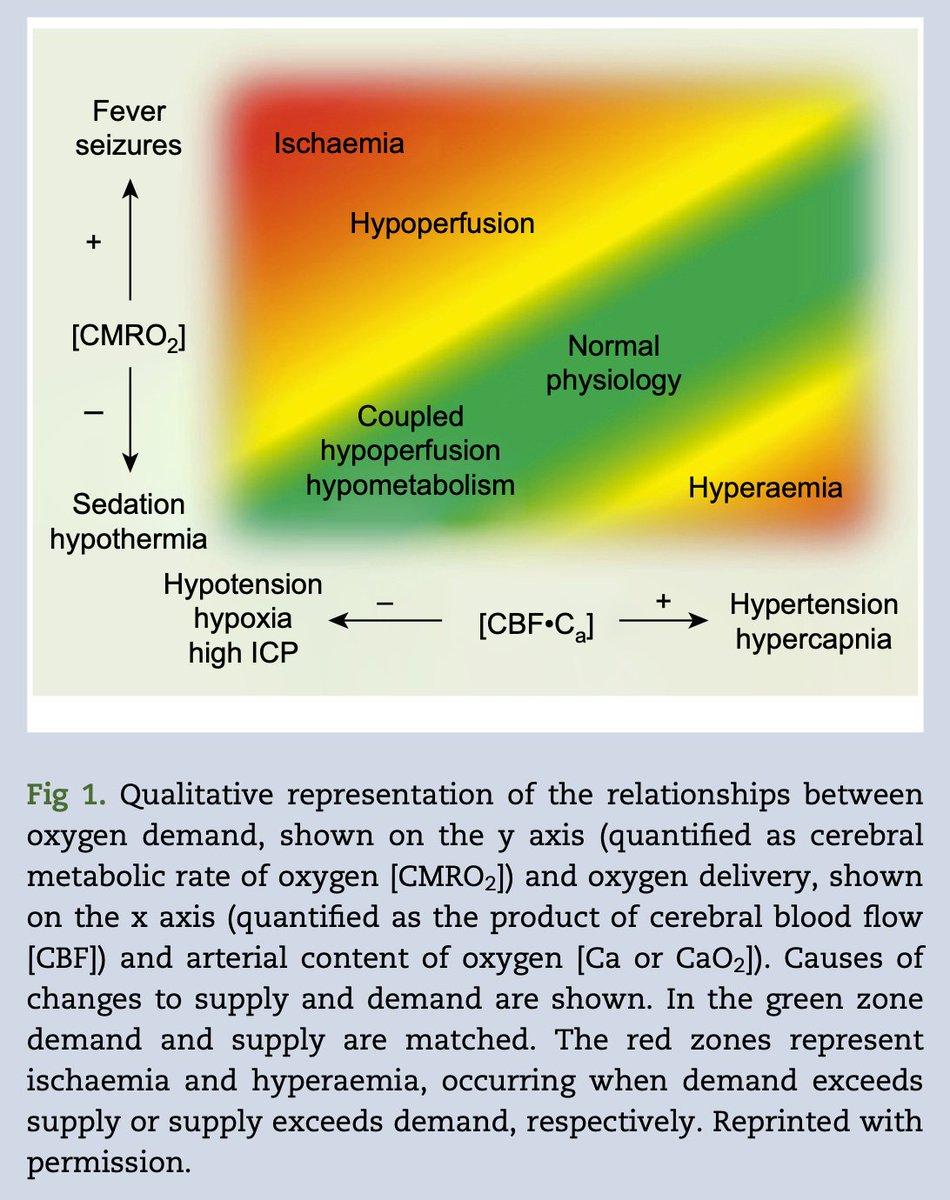 FREE TO VIEW. New narrative review of intraoperative monitoring of central and peripheral nervous systems by Ryalino et al #perioperative #monitoring #anaesthesia #openaccess

bjanaesthesia.org/article/S0007-…