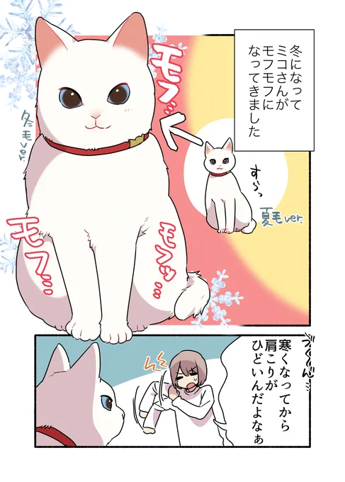 ⛄️冬の猫に…苦しめられているッッッ‼️‼️‼️話
(1/2)
 #漫画が読めるハッシュタグ
 #愛されたがりの白猫ミコさん 