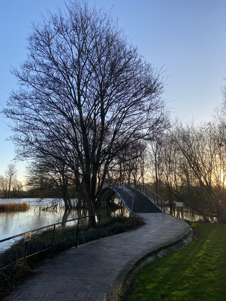The bridge ⁦@WolfsonCollege⁩ at dawn this morning….into what are usually meadows.