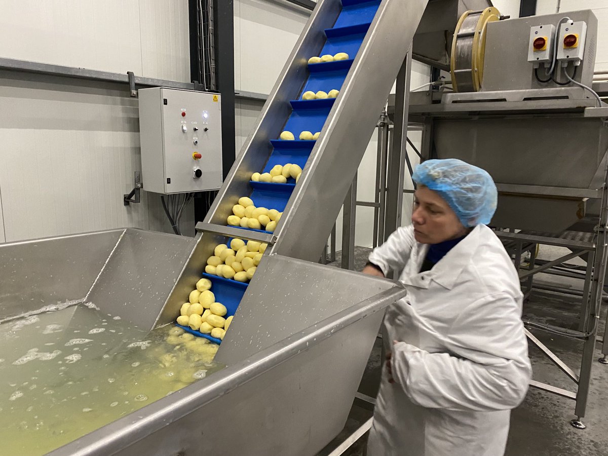 cdkfryslan's tweet photo. Op wurkbesite by de produksje fan #Botmas yn #Ie. Moai boerenbedriuw mei each op de takomst. Goed en earlik ite is it ferhaal! ⁦@noardeast⁩ ⁦@provfryslan⁩ https://t.co/LVA8Tai3DJ