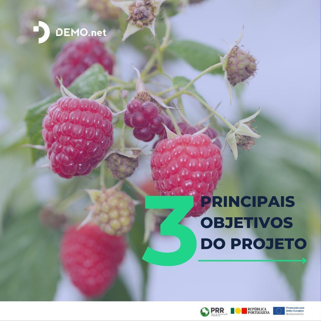 CONSULAI tweet media