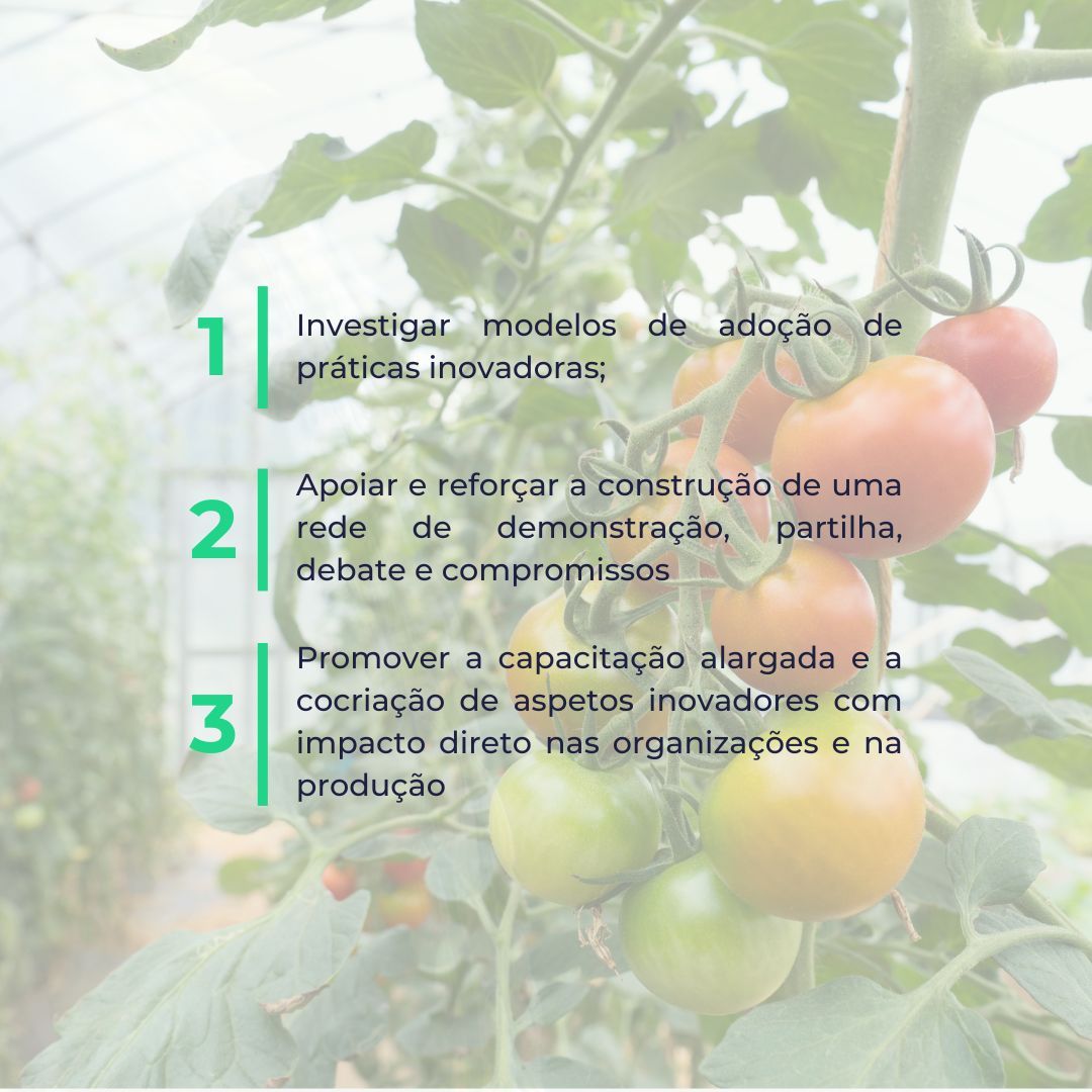 🔄 A troca eficaz de conhecimentos é uma parte crucial na adoção de práticas que permitam a introdução da inovação nos processos

#demonet #agricultura #inovação #sustentabilidade