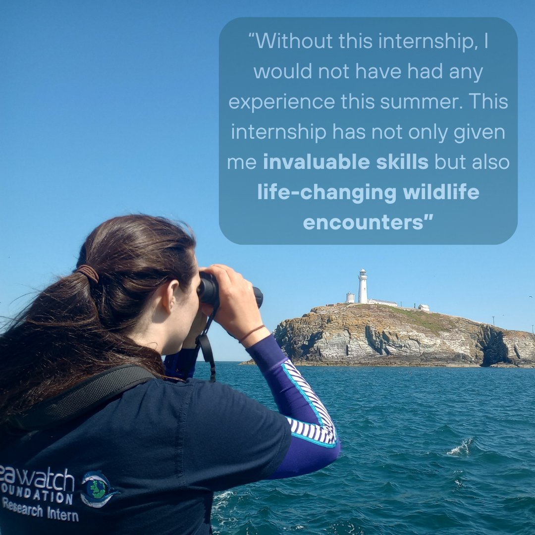 Less than a month left to apply for our Anglesey Internships! 🌊🐳

We are looking for Research Interns and a Research and Intern Assistant.  

Apply now at:
tinyurl.com/38ycs6u4

#interns #steminternship #employability #marinescience #marinebiology #marinemammals #cetaceans