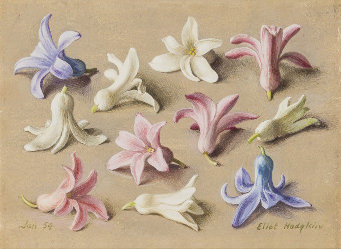 ArtGuideAlex's tweet photo. Eleven Hyacinth Florets
1954 #EliotHodgkin https://t.co/MIqqgp0ARC