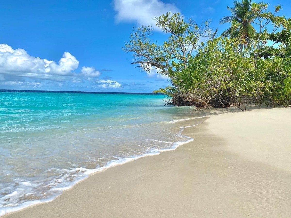 #TheSunnySideOfLife #maldiveIslands #visitmaldives #beach #Maldivestourism #travelphotography #nature #travelgram