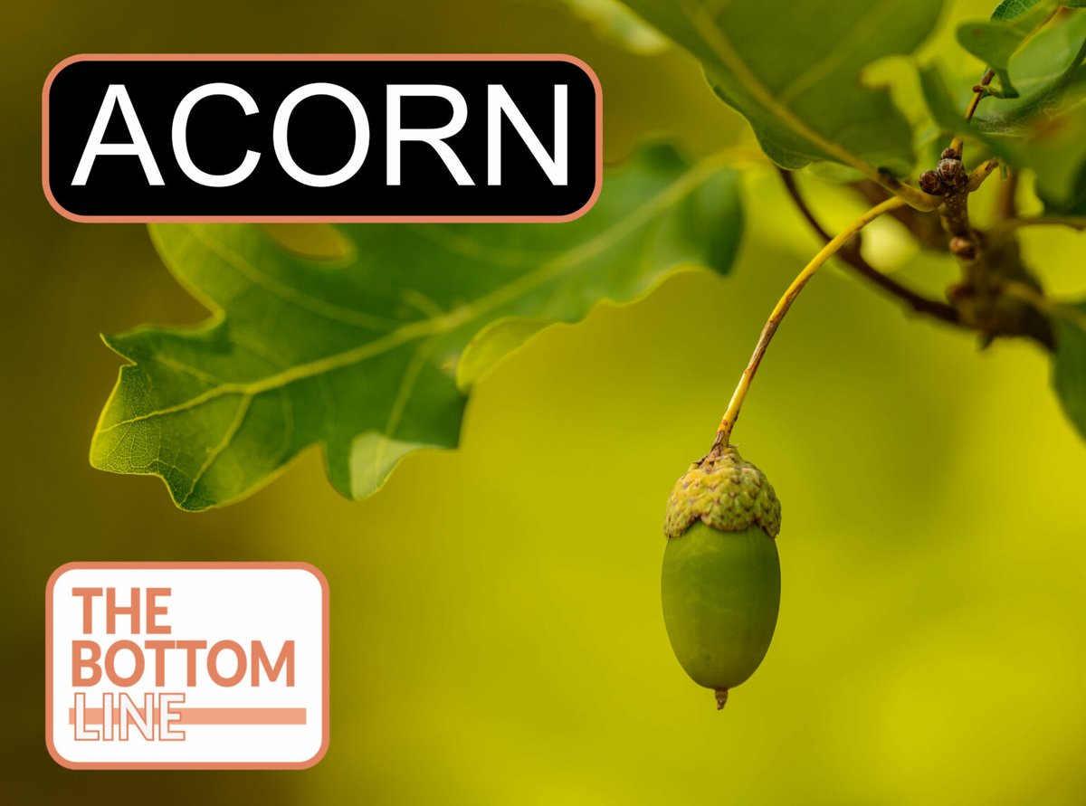 #TBL 443: ACORN - Cefepime vs Piperacillin-Tazobactam in Adults Hospitalized With Acute Infection thebottomline.org.uk/summaries/icm/… Article by @EdQian Review b @hgmwalker89 #FOAMed #FOAMcc #Sepsis