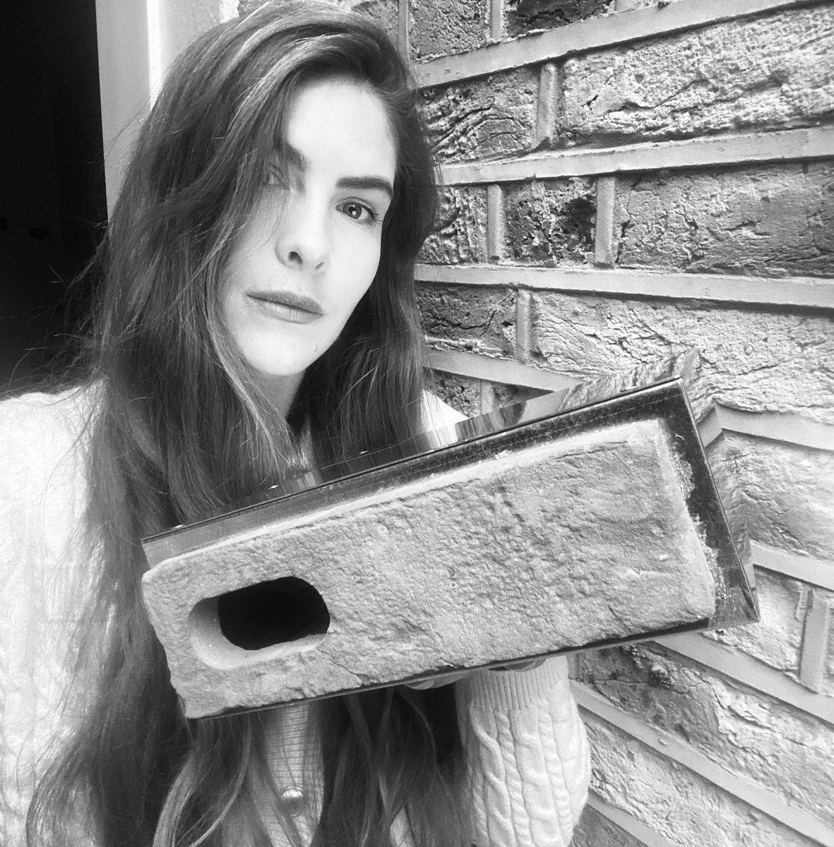 Write to our Housing Minister asking he mandate #swift bricks to save swifts 💌✍️ Lee Rowley MP DLUHC 4th Floor Fry Building 2 Marsham Street London SW1P 4DF

Tell him why YOU care ahead of me meeting him

#TheFeatherSpeech is in its 14th month making it 14 months MORE urgent