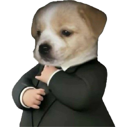 rN3w 🦊🐸밍들레 tweet media