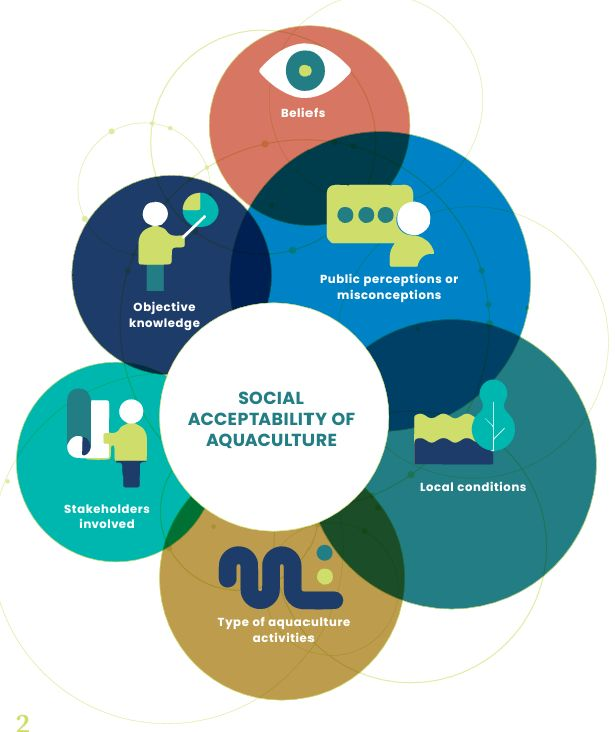 🐟🙋‍♂️🐟Beliefs, perception, knowledge, local specificities... which factors influence #socialacceptability of #aquaculture?  <a href="/UN_FAO_GFCM/">General Fisheries Commission for the Mediterranean</a> 2030 strategy brings guidance through technical #cooperation, #knowledge sharing &amp; regional #partnerships 👇Read more👇feap.info/index.php/aqua…