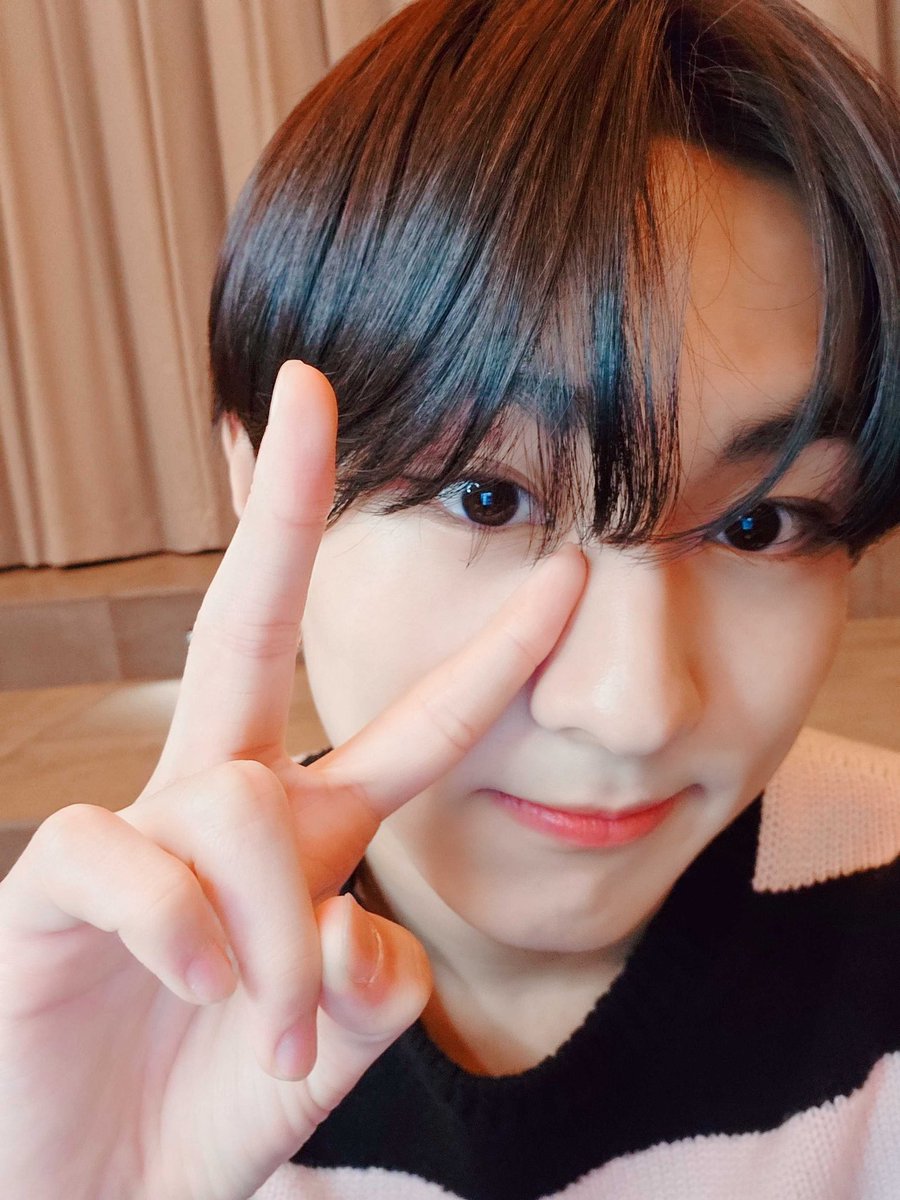 ENHYPEN WEVERSE tweet media