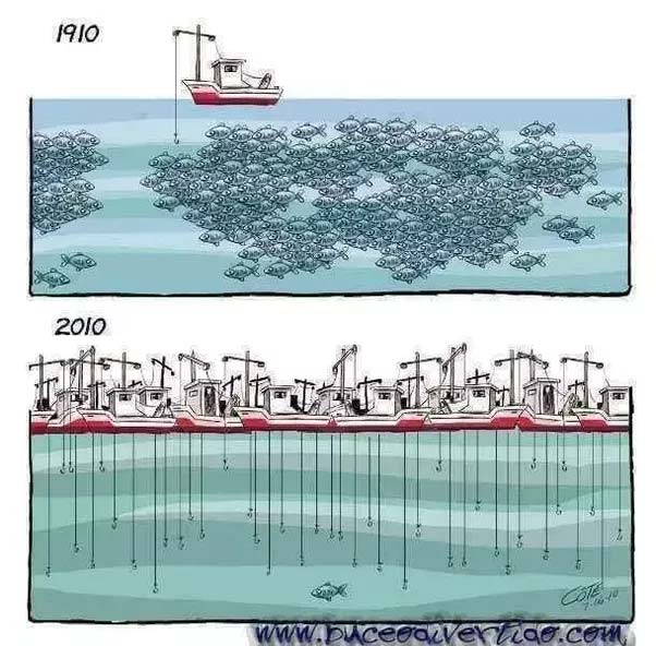 Meaningful pictures (@meaningfulpictr) on Twitter photo 