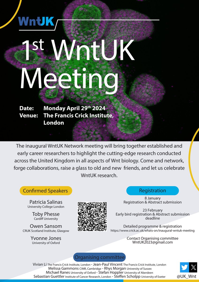 Wnt UK (@uk_wnt) on Twitter photo Pleased to announce that registration is now open for the inaugural WntUK meeting on Mon 29th April at <a href="/TheCrick/">The Francis Crick Institute</a> Institute. Preliminary programme, registration and abstract submission below:
crick.ac.uk/whats-on/inaug…
Benefit from early bird registration fees up to 23rd Feb! Pleased to announce that registration is now open for the inaugural WntUK meeting on Mon 29th April at <a href="/TheCrick/">The Francis Crick Institute</a> Institute. Preliminary programme, registration and abstract submission below:
crick.ac.uk/whats-on/inaug…
Benefit from early bird registration fees up to 23rd Feb!
