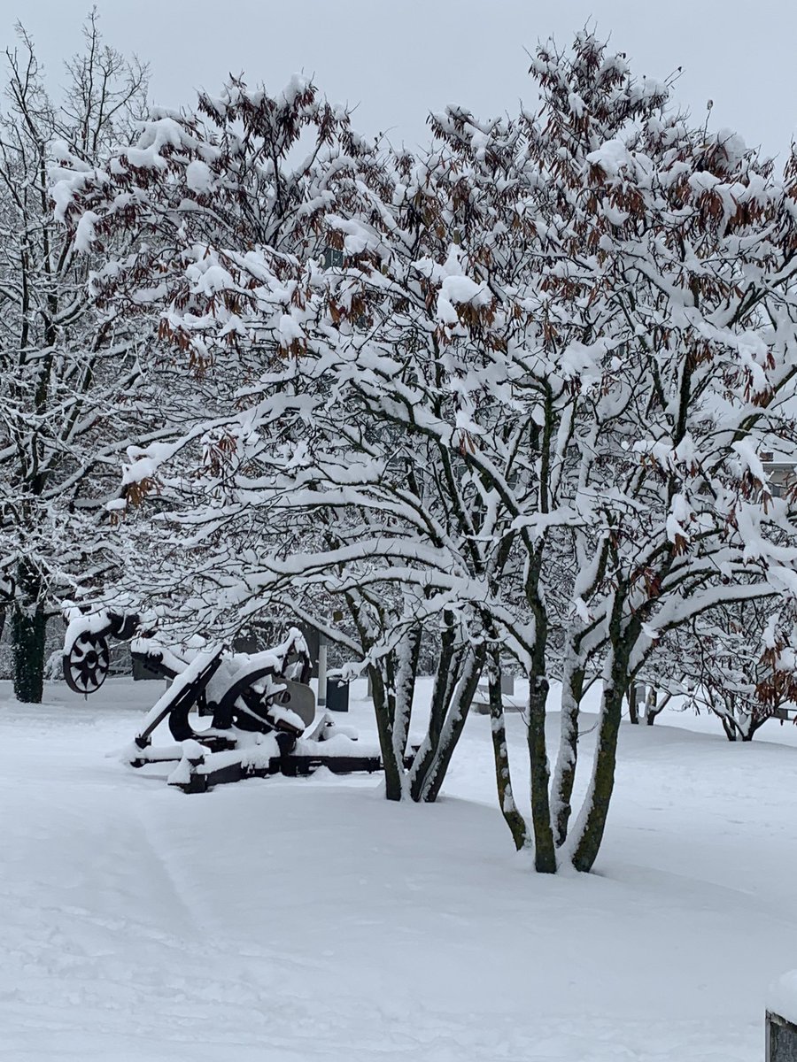 Michaela Told tweet media