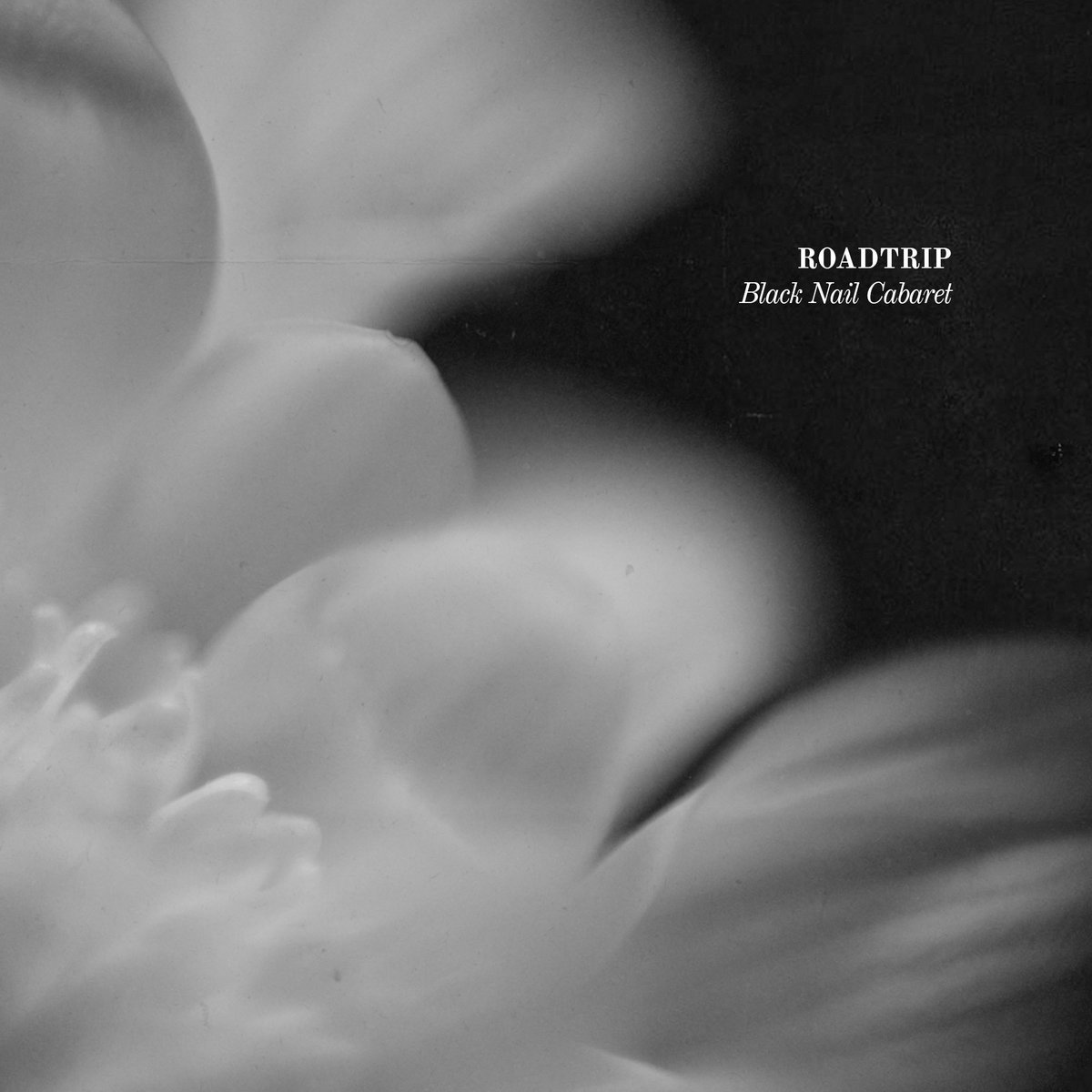 New song out from the upcoming album, Chrysanthemum. Listen to Roadtrip on Bandcamp: blacknailcabaret.bandcamp.com/track/roadtrip…