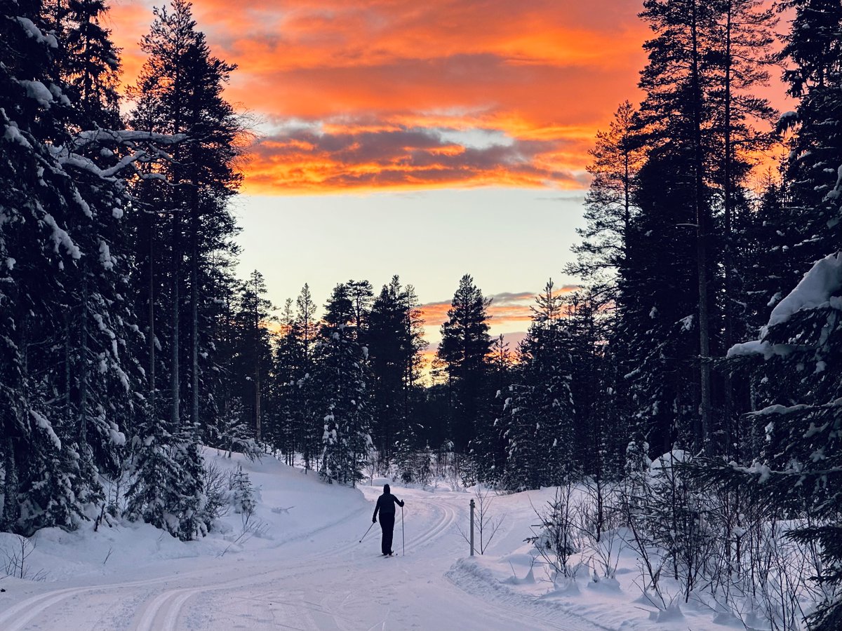 InterAnest's tweet image. Alpine is awesome, but at times Nordic skiing is sublime. Big plans for video content 2024.