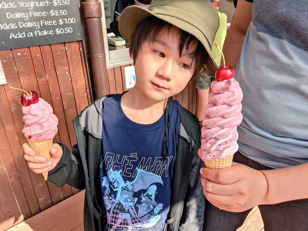 Naokonz2's tweet photo. ニュージーランドは乳製品が美味しいよね
にしても右の普通サイズが大きい🍦 https://t.co/VPvlBEjf5Z