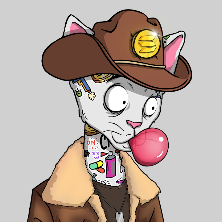 melis demir tweet media