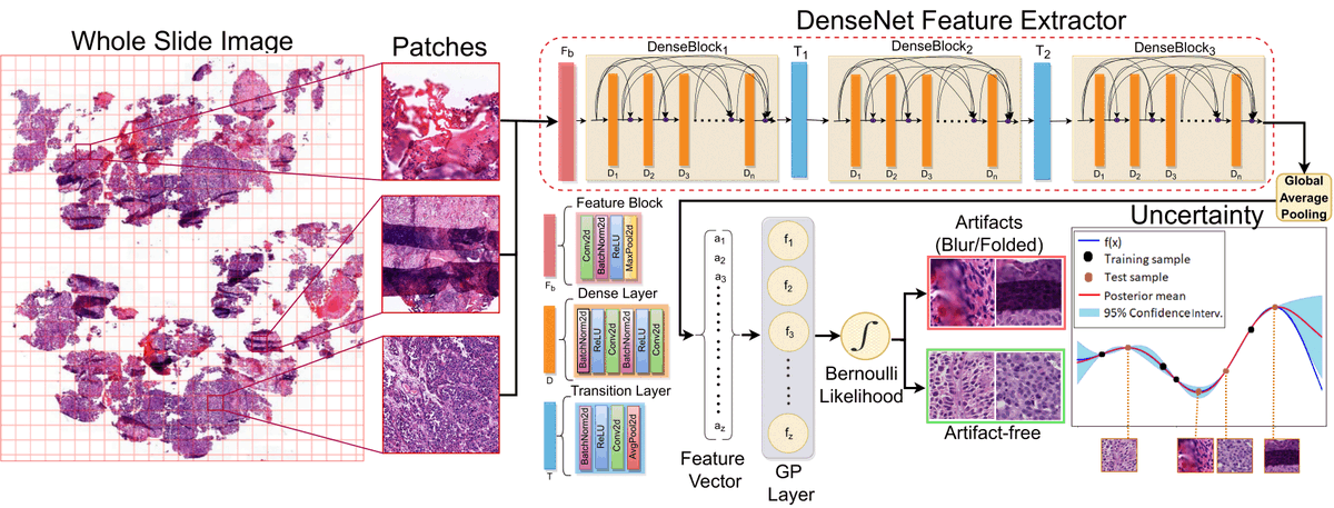 BMDLabUiS's tweet photo. We are excited to share that our recent article, "Are you sure it's an artifact? Artifact detection and uncertainty quantification in histological images" in Computerized Medical Imaging and Graphic Journal.  

Check out the full article here: https://t.co/nW5I669RMA https://t.co/S5RdAmSQMP