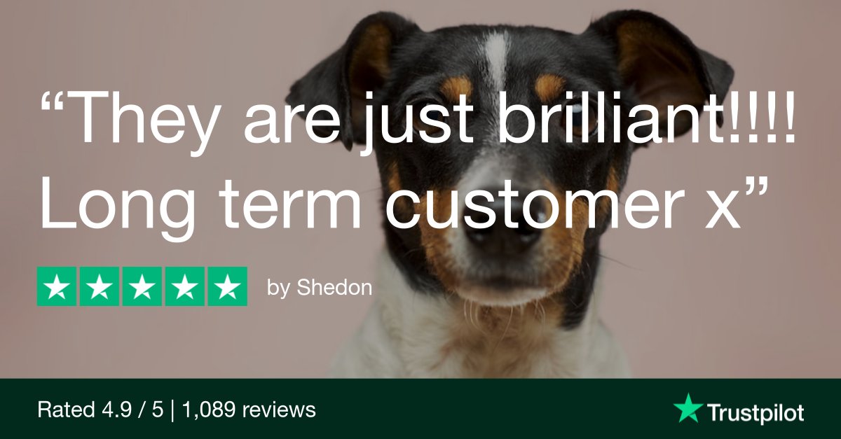 🌟 Our customers make us wag our tails! 🐾 Check out what they're saying on Trustpilot! These reviews speak louder than barks! 🐶🐾 
#DecsPets #HappyCustomers #TrustpilotReviews 🌟