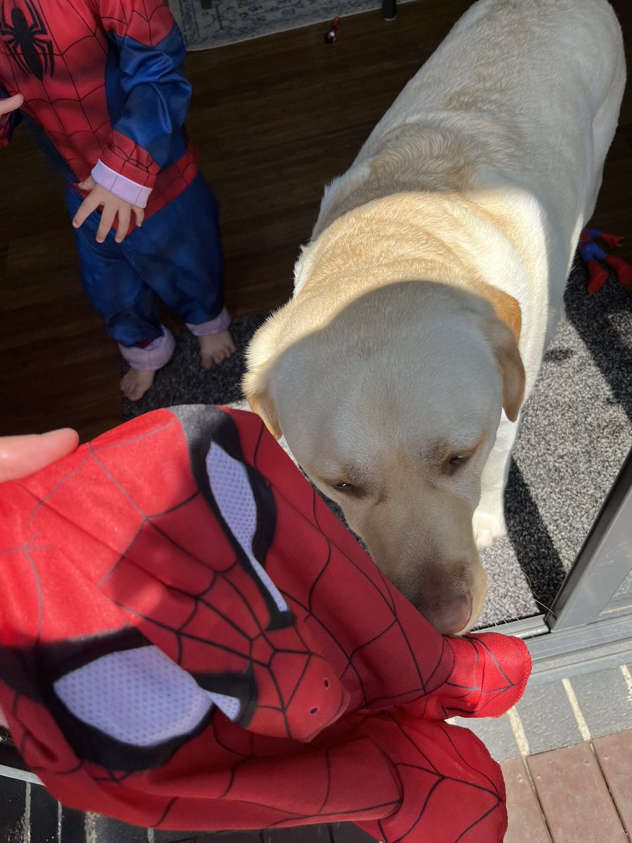 庭でベビーカーを洗ってたらどんどん日差しが強くなって肌がジリジリしてきたので『誰か帽子取って〜』って言ったら2歳児がこれくれた😇