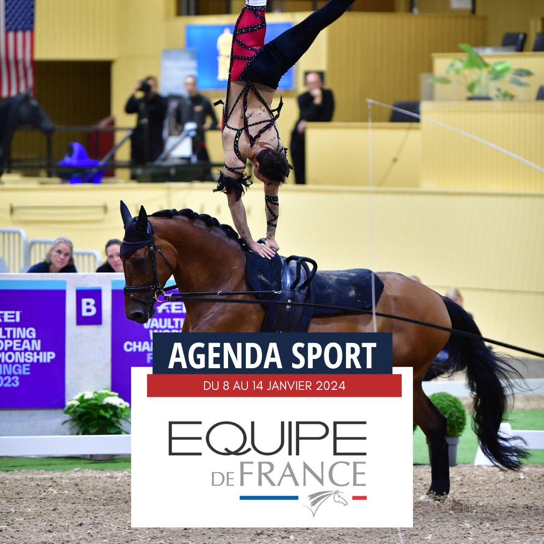 FRA_Equitation's tweet image. #JUMPING #DRESSAGE #VOLTIGE
Au programme⬇️
- étapes Coupe du monde CSI 5* et la finale Coupe du monde de voltige à Bâle 🇨🇭
- étape Coupe du monde CSI 4* à Abou Dabi 🇦🇪
- CSI 4* à Doha 🇧🇭
- CDI 3* à Wellington 🇺🇸
L’agenda sport complet⤵️
ffe.com/actualites/age…