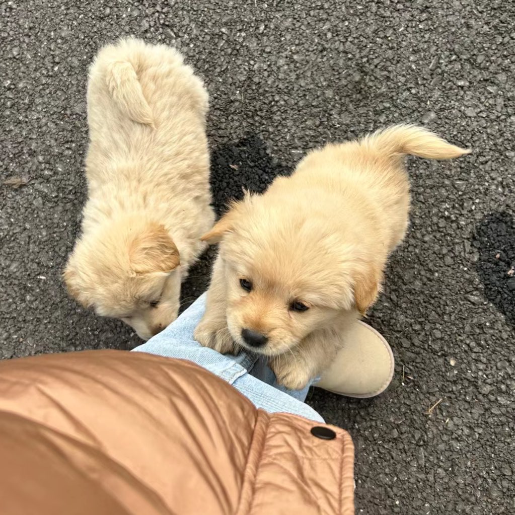 น้าๆ พากาบบ้านนอย