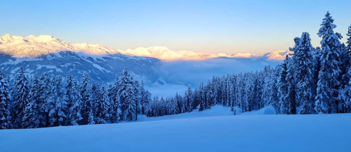 marion26299073's tweet photo. Good Morning from the cold โ๏ธโ๏ธโ๏ธ #WinterWonderland #NaturePhotography #skifun https://t.co/w4hV9xQwbA