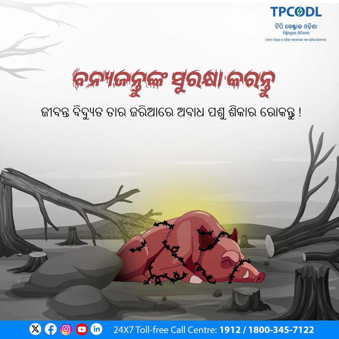 TPCentralOdisha's tweet photo. ପରିବେଶ ସନ୍ତୁଳନ ରକ୍ଷା କରିବାରେ ବନ୍ୟଜନ୍ତୁ ପ୍ରମୁଖ ଭୂମିକା ନିର୍ବାହ କରନ୍ତି। ସେମାନଙ୍କ ଅବାଧ ଶିକାର ପ୍ରାକୃତିକ ଜୈବ ସନ୍ତୁଳନ ନଷ୍ଟ କରେ। ବିଦ୍ୟୁତ ତାର ଦ୍ୱାରା ସେମାନଙ୍କ ଶିକାର ଅବୈଧ ଓ ଅମାନବୀୟ। ତେଣୁ ସେମାନଙ୍କ ସୁରକ୍ଷା ଓ ସଂରକ୍ଷଣ ଦିଗରେ ସଚେତନ ହେବା।
#WildlifeConservation #StopLiveWirePoaching #TPCODL https://t.co/sc2FzDJNnf
