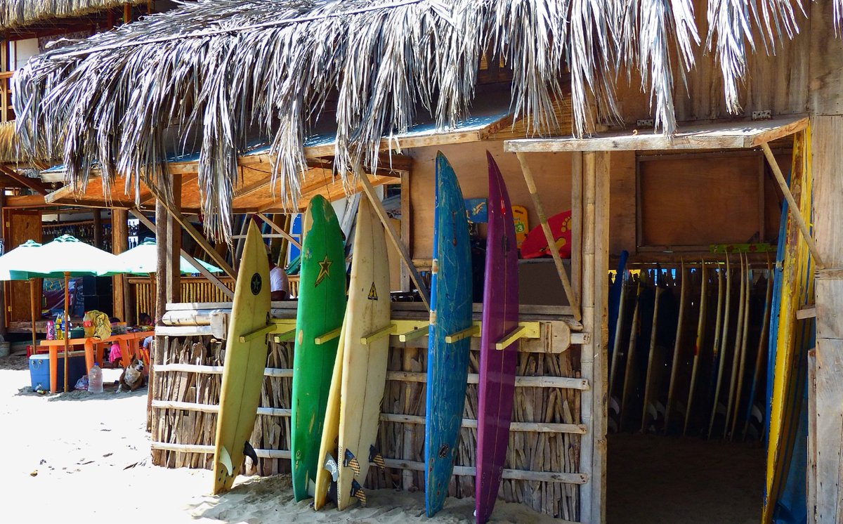 pvtistes's tweet image. 🌴 Dans la région de #Piura, au nord-ouest du #Pérou, il existe un petit paradis terrestre où les #surfeurs se retrouvent, où le temps passe plus lentement et où le ciel est presque tout le temps bleu : #Mancora ! 💙
🐢 On vous en parle par ici👉 pvtistes.net/stories/coup-d…
#pvtpérou