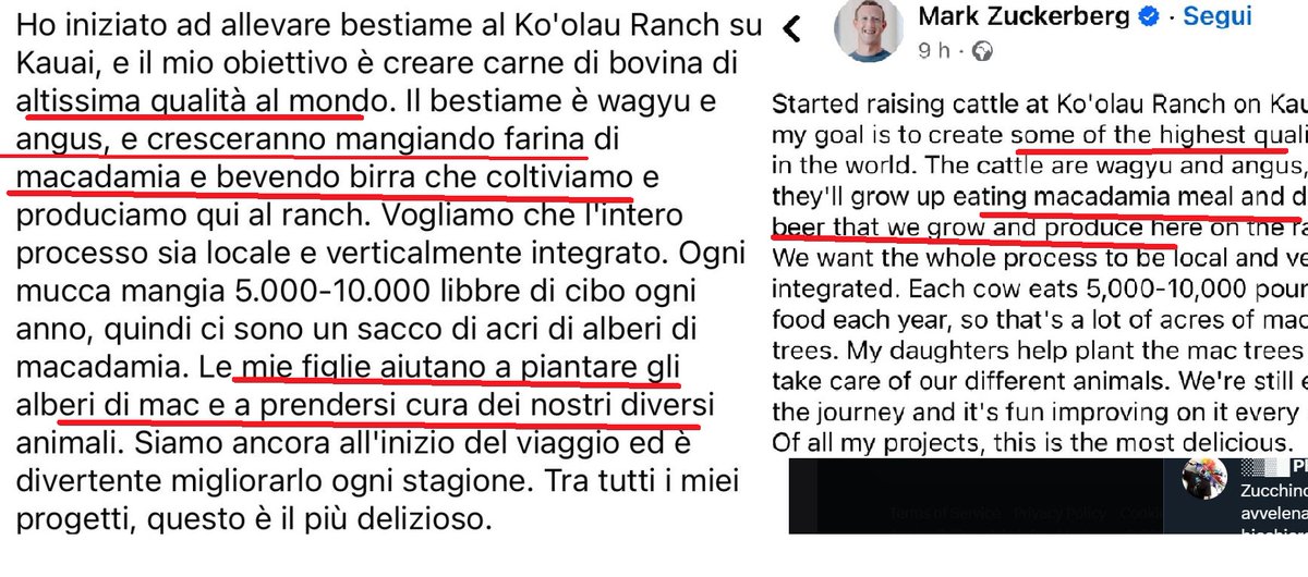 Le figlie di Zuckerberg che piantano alberi di #macadamia alle Hawai per alimentare la razza speciale di vitelli #Wagyu (che bevono birra) e avere le bistecche migliori del mondo

Penseresti che è qualcuno che fa la parodia del miliardario, invece è proprio #Zuckerberg

G.Zibordi