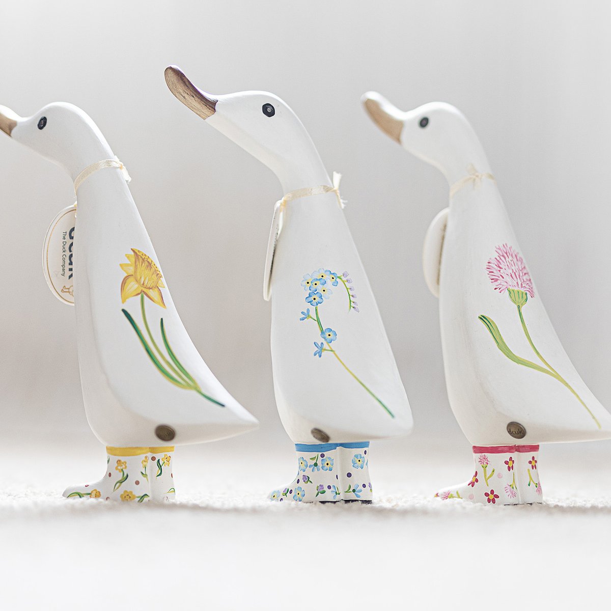 It may be winter but did you know some flowers bloom in January?! Snowdrops, Hellebores &amp; Clematis to name a few! 🌸🌺🌼